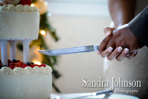 Best Orlando Wedding photographer - Sandra Johnson (SJFoto.com)